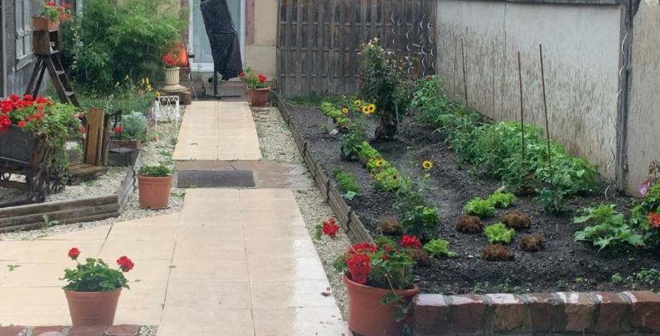 Maison Avec Terrasse Colmar Centre-Cottage Garden Terrace Center Old Town Κολμάρ Εξωτερικό φωτογραφία
