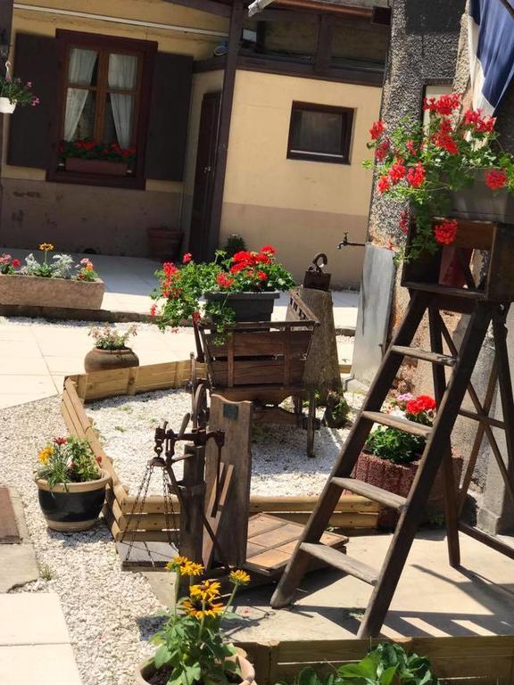 Maison Avec Terrasse Colmar Centre-Cottage Garden Terrace Center Old Town Κολμάρ Εξωτερικό φωτογραφία