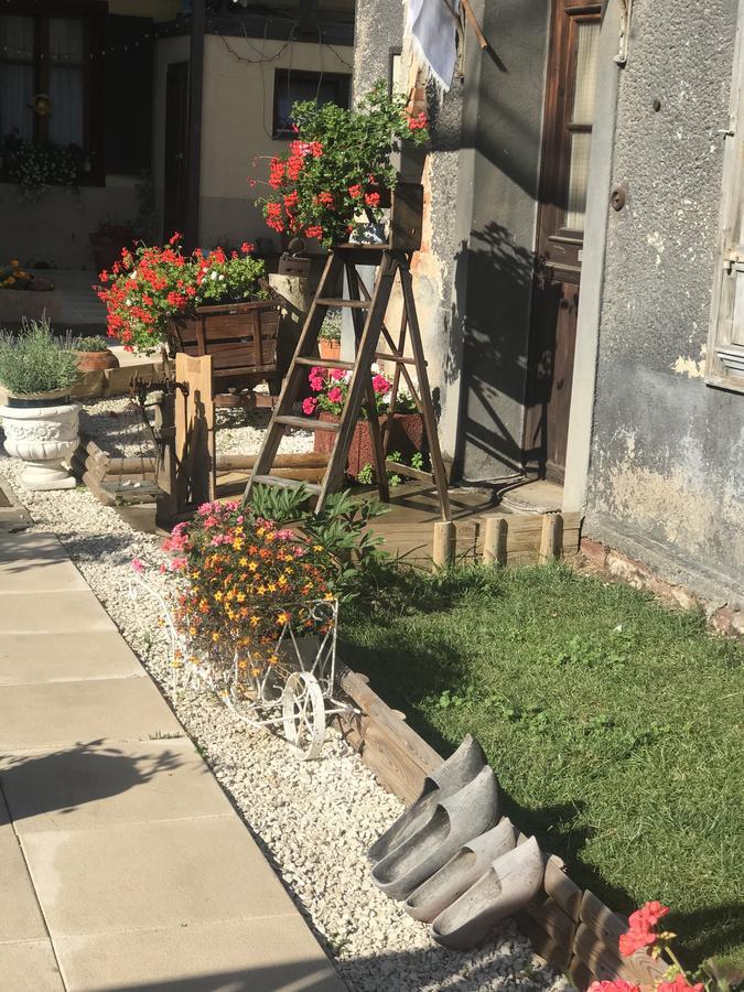 Maison Avec Terrasse Colmar Centre-Cottage Garden Terrace Center Old Town Κολμάρ Εξωτερικό φωτογραφία